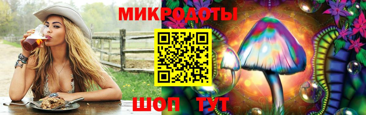 Псилоцибиновые грибы мицелий Москва